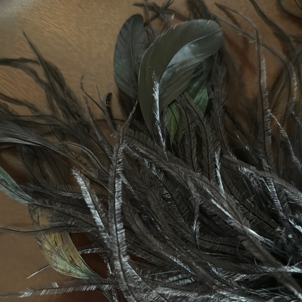Neiman Marcus Black Feather Hair Fascinator